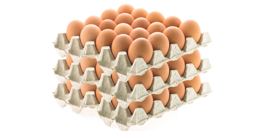 फेरि बढ्यो अण्डाको भाउ !