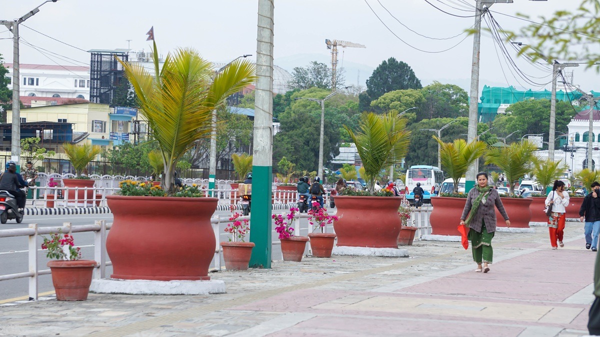 सहरलाई सुन्दर बनाउन सडक किनारामा गमलामा फूल रोप्दै महानगरपालिका